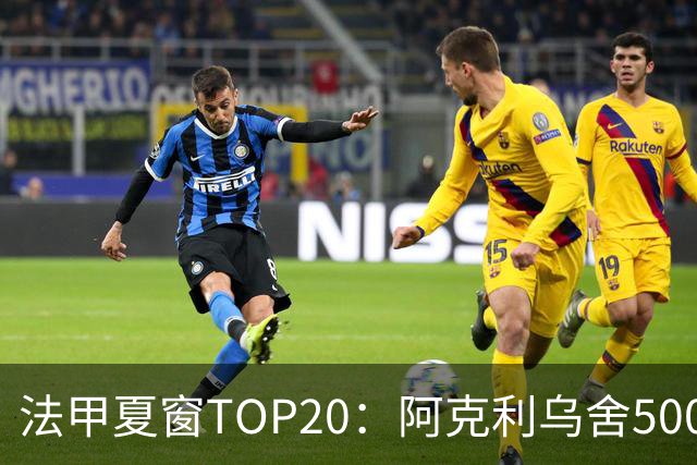 法甲夏窗TOP20：阿克利乌舍5000万欧成标王，费兰4850万欧第二